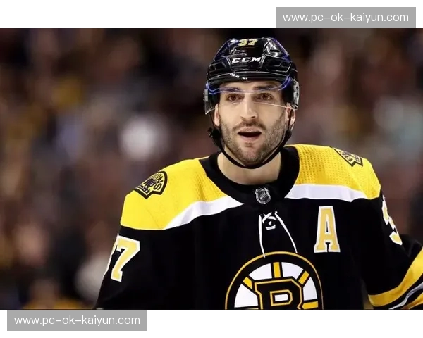 NHL伤病：冰场上的隐形战场，伤痛与复苏的真实故事