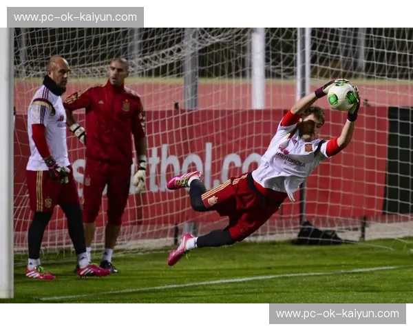 绿茵场上的红酒与蓝白:洛哥尼斯vs西班牙人,一场关于荣耀与重生的终极博弈 绿茵场上的红酒与蓝白:洛哥尼斯vs西班牙人,一场关于荣耀与重生的终极博弈